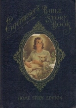 Cover art for Bible Story Book