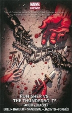 Cover art for Thunderbolts Volume 5: Punisher vs. the Thunderbolts (Marvel Now)