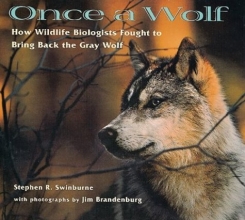 Cover art for Once A Wolf: How Wildlife Biologists Fought to Bring Back the Gray Wolf (Scientists in the Field Series)