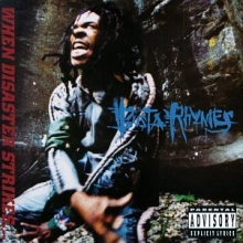 Cover art for When Disaster Strikes