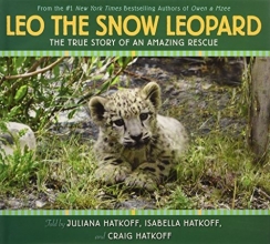 Cover art for Leo the Snow Leopard