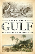 Cover art for The Gulf: The Making of An American Sea