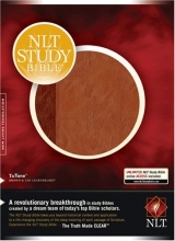 Cover art for NLT Study Bible, TuTone
