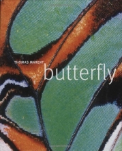 Cover art for Butterfly