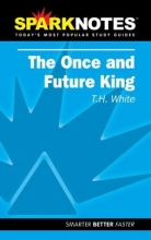 Cover art for The Once and Future King (SparkNotes Literature Guide) (SparkNotes Literature Guide Series)