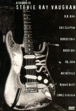 Cover art for A Tribute to Stevie Ray Vaughan