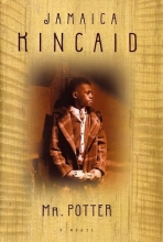 Cover art for Mr. Potter: A Novel