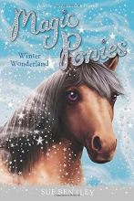 Cover art for Winter Wonderland #5 (Magic Ponies)