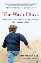 Cover art for The Way of Boys: Raising Healthy Boys in a Challenging and Complex World