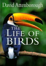 Cover art for The Life of Birds