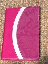 Cover art for Holy Bible - NIV - Italian Duo-tone in Berry/Peach