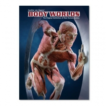 Cover art for Body Worlds - The original exhibition of real human bodies