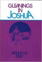 Cover art for Gleanings in Joshua