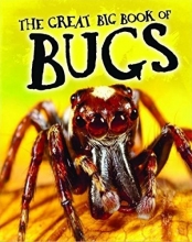 Cover art for The great big book of bugs.
