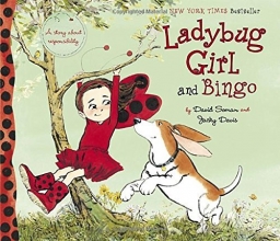 Cover art for Ladybug Girl and Bingo