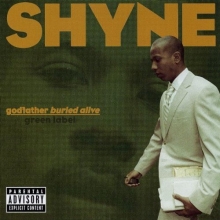 Cover art for godfather buried alive