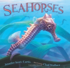 Cover art for Seahorses