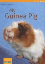 Cover art for My Guinea Pig (My Pet Series)