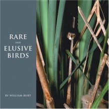 Cover art for Rare and Elusive Birds of North America