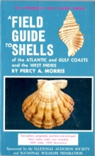 Cover art for Field Guide to Shells of the Atlantic (Peterson Field Guides)