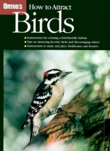 Cover art for How to Attract Birds