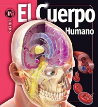 Cover art for Cuerpo Humano/ Human Body (Insiders) (Spanish Edition)