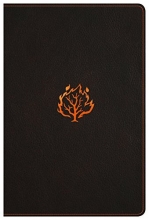 Cover art for I Am Bible, Black LeatherTouch