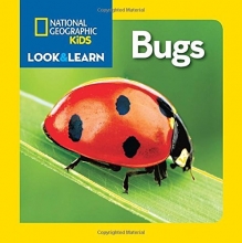 Cover art for National Geographic Kids Look and Learn: Bugs (Look & Learn)