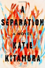 Cover art for A Separation: A Novel