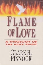 Cover art for Flame of Love: A Theology of the Holy Spirit