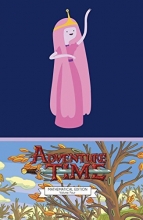 Cover art for Adventure Time Vol. 4 Mathematical Edition