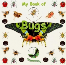 Cover art for My Book of Bugs (Board Book)