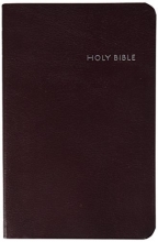 Cover art for CEB Common English Thinline Bible, Bonded EcoLeather Burgundy
