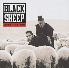 Cover art for A  Wolf  In  Sheep's  Clothing