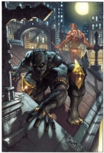 Cover art for Black Panther: The Man Without Fear, Vol. 1