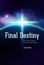 Cover art for Final Destiny: The Future Reign of the Servant Kings