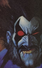 Cover art for Lobo: Portrait of a Bastich
