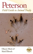 Cover art for Peterson Field Guide to Animal Tracks: Third Edition (Peterson Field Guides)