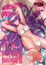 Cover art for High School of the Dead OVA: Drifters of the Dead