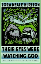 Cover art for Their Eyes Were Watching God: A Novel