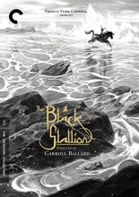Cover art for The Black Stallion