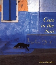 Cover art for Cats in the Sun