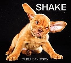 Cover art for Shake