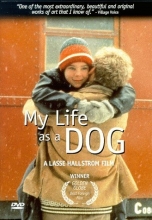 Cover art for My Life As a Dog