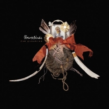 Cover art for The Clearing
