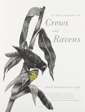Cover art for In the Company of Crows and Ravens