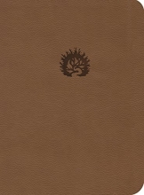Cover art for Reformation Study Bible (2015) ESV, Leather-Like Light Brown