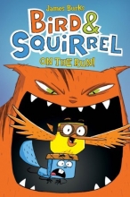 Cover art for Bird & Squirrel on the Run