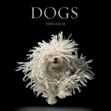 Cover art for Dogs