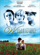 Cover art for Wildflower